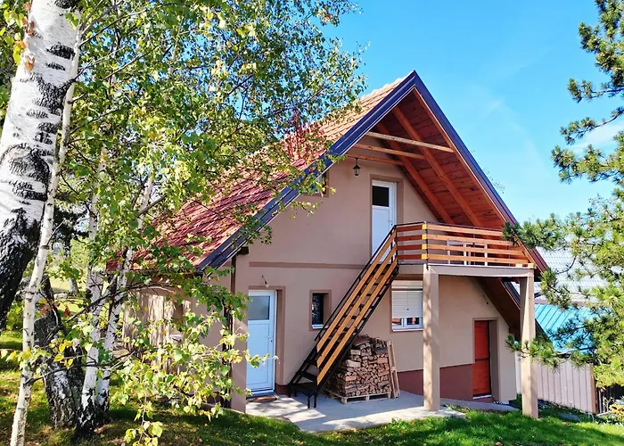 Simic Planinska Kuca 度假居 *